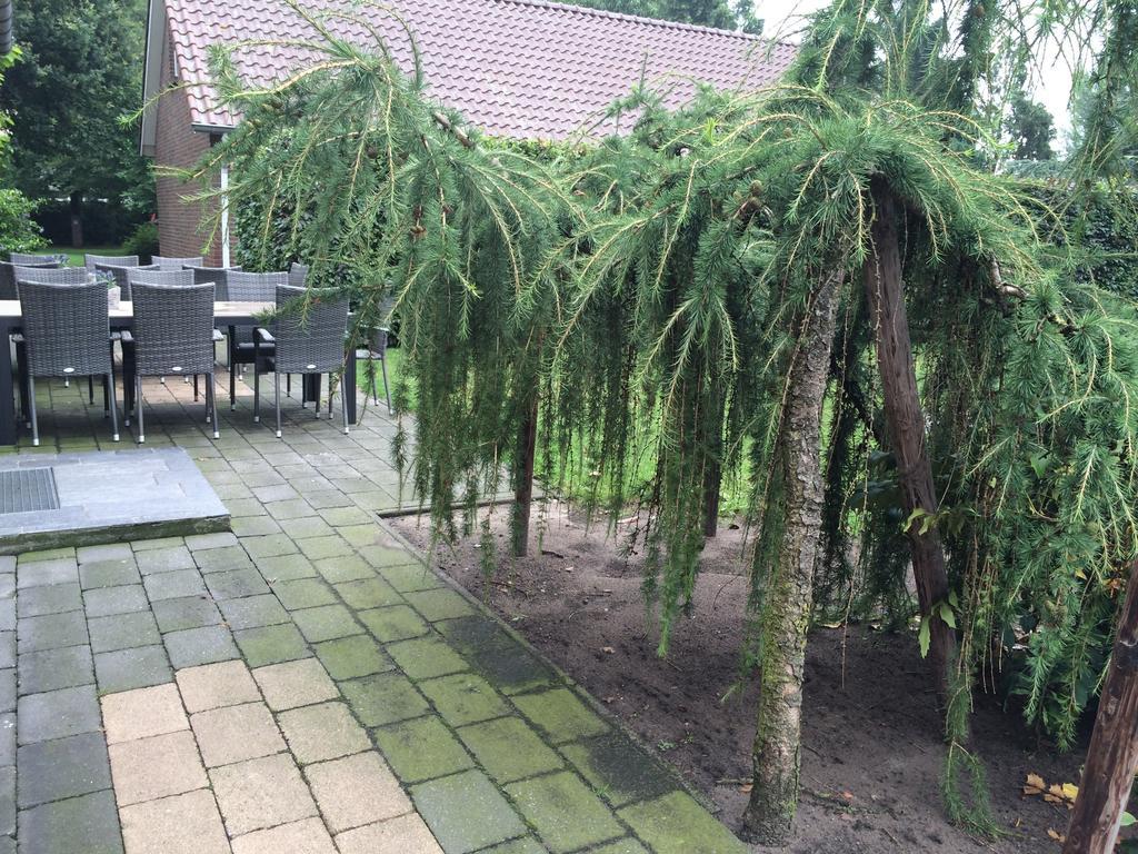 Vakantieboerderij De Pionier Bed and Breakfast Ysselsteyn Esterno foto